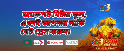 মেগা উইন বোনাস promotion